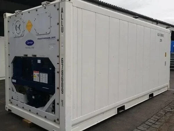 Contentor refrigerado de 20 pés